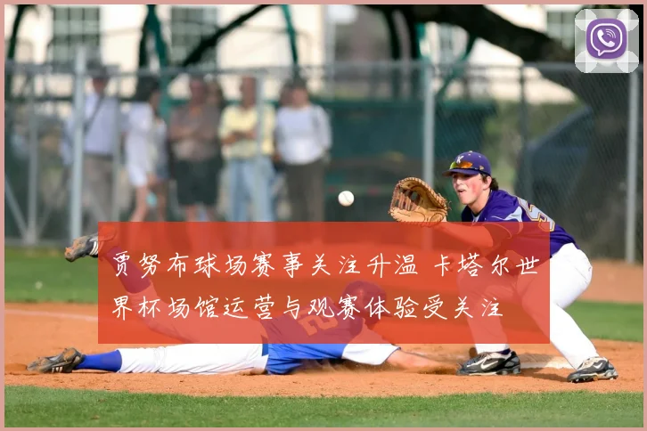 贾努布球场赛事关注升温 卡塔尔世界杯场馆运营与观赛体验受关注