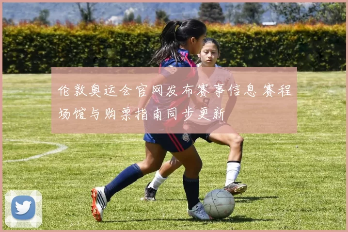 伦敦奥运会官网发布赛事信息 赛程场馆与购票指南同步更新