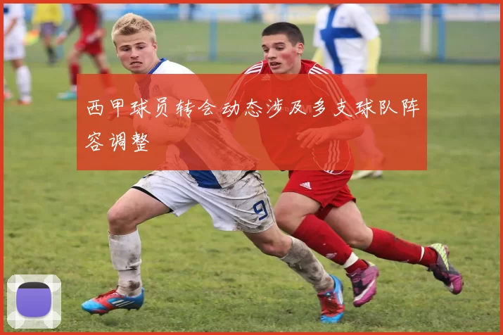 西甲球员转会动态涉及多支球队阵容调整