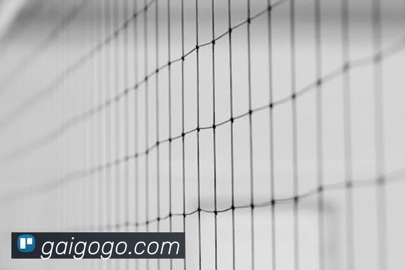 AOA官方版网站登录入口 - AOA(中国)服务体系